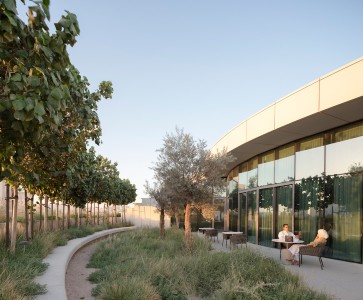 article ghaf center dubai 3